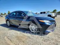 2019 Toyota CAMRY фото