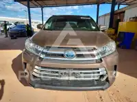 2019 Toyota Highlander фото