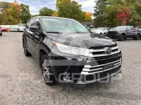 2019 Toyota Highlander photo