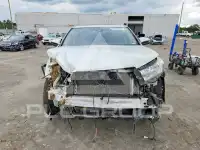 2019 Toyota Highlander photo