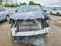2019 Toyota Highlander фото
