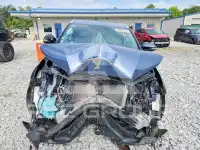 2019 Toyota Highlander фото