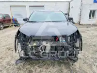 2019 Toyota Highlander фото