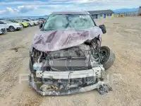 2019 Toyota Highlander photo