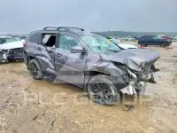 2019 Toyota Highlander фото