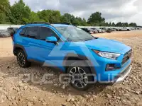 2019 Toyota RAV4 photo