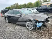 2019 Toyota AVALON фото