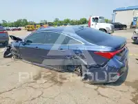 2019 Toyota AVALON photo