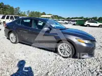 2019 Toyota CAMRY фото