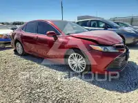 2019 Toyota CAMRY фото