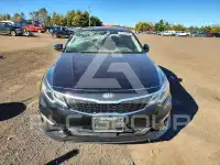 2019 KIA Optima фото