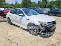 2019 KIA Optima photo