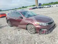 2019 KIA Optima photo