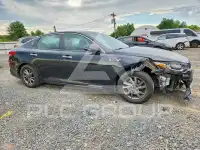 2019 KIA Optima фото