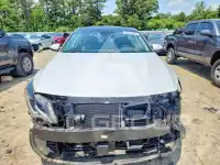 2019 KIA Optima photo