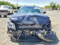 2019 KIA Optima фото