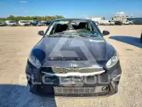 2019 KIA Forte photo