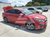 2019 KIA Forte photo