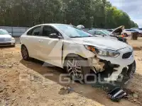 2019 KIA Forte photo