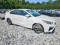 2019 KIA Forte photo