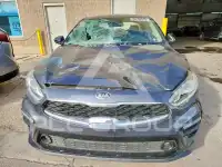 2019 KIA Forte фото