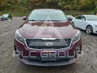2019 KIA Sorento фото