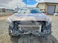 2019 KIA Sorento фото