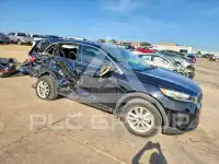 2019 KIA Sorento фото