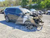 2019 KIA Sorento photo