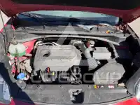 2019 KIA Sportage фото