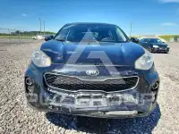 2019 KIA Sportage фото