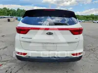 2019 KIA Sportage photo