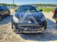 2019 KIA Sportage фото