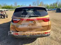 2019 KIA Sportage фото