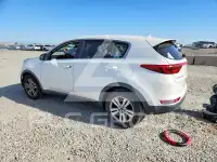 2019 KIA Sportage photo