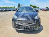 2019 KIA Sportage фото
