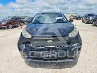 2019 KIA Sportage фото