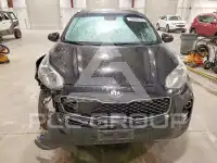 2019 KIA Sportage фото