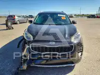 2019 KIA Sportage photo