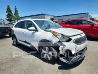 2019 KIA Niro photo
