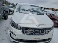 2019 KIA Sedona фото