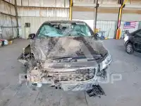 2019 KIA Sedona фото