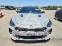 2019 KIA Stinger фото