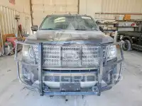 2019 Ford EXPEDITION photo