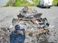 2019 Ford EXPEDITION фото