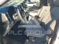 2019 Ford F-150 photo