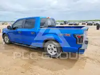 2019 Ford F-150 фото