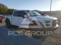 2019 Ford F-150 photo