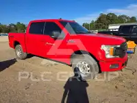 2019 Ford F-150 фото