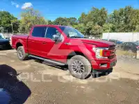 2019 Ford F-150 photo